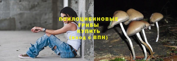 ешки Богданович