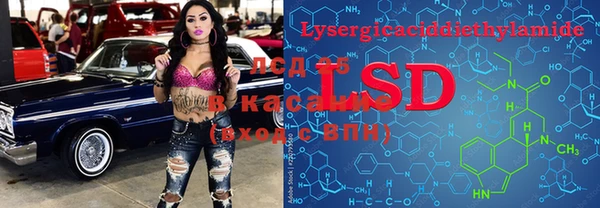 ешки Богданович