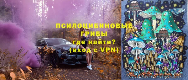 ешки Богданович