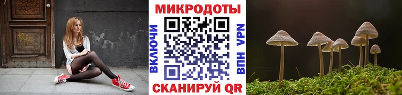 Псилоцибиновые грибы Magic Shrooms  Железноводск 